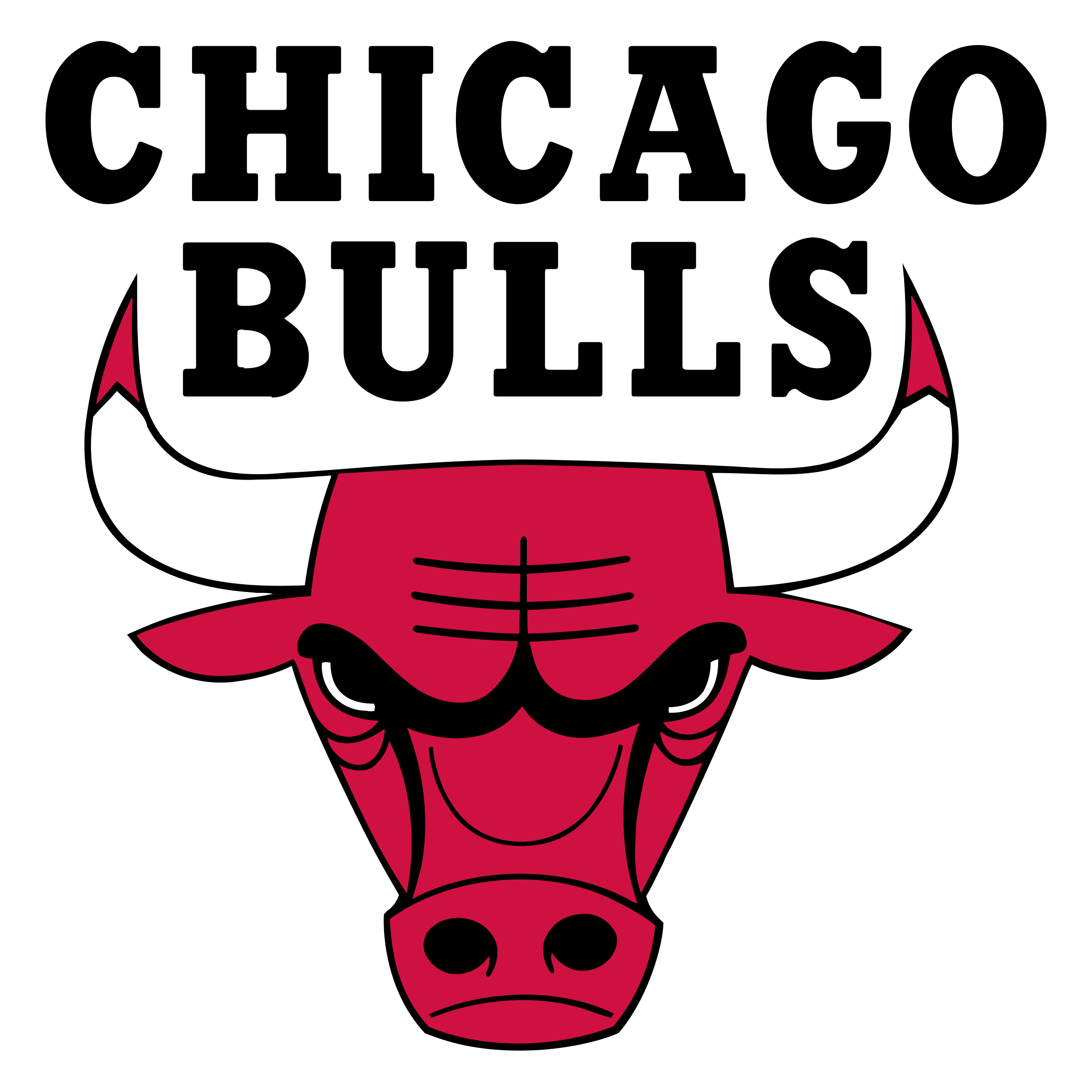 Bulls